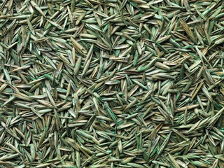 Grass Seed