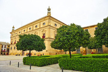 Fototapeta na wymiar Palacio de las Cadenas, Úbeda, Jaén, España