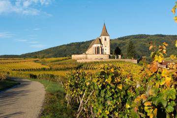 Eglise fortifi&eacute;e en Alsace dans les vignes en Automne