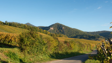 Fototapeta na wymiar Les Trois Châteaux de Ribeauvillé en Alsace