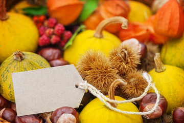Herbstfrüchte, Etikett an Herbstdekoration