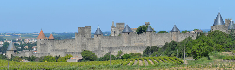 Fototapeta na wymiar Panorama der Altstadt von Carcassonne