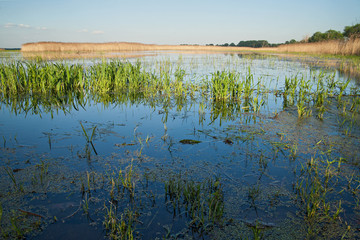 überschwemmtes Grasland