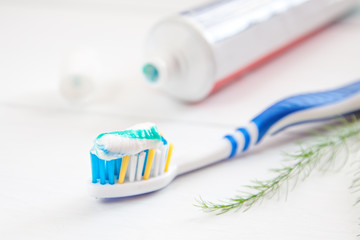 teeth brush and paste tube dental hygiene