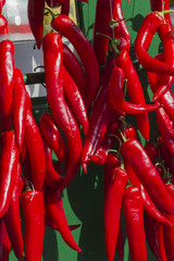 red chili