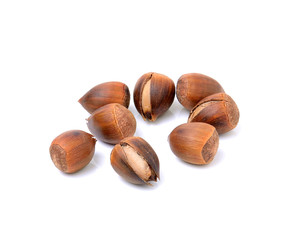 thailand sweet chestnut on white background