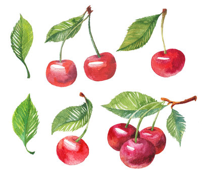 Cherry berry set with leaf. Watercolor hand drawn illustration