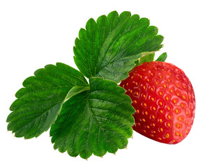 Strawberries with leaves. Isolated on a white background.