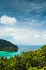 Fototapeta na wymiar Palm Island Exotic Backdrop