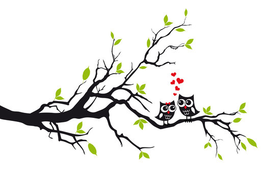 Cute owls in love on tree, vector