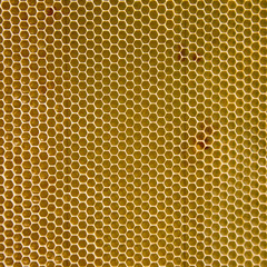Empty honeycomb wax