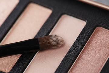 Make up brush on eye shadow palette