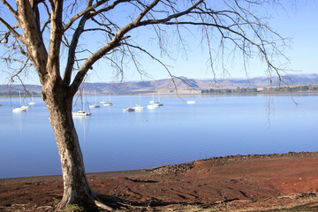 Leafless Branches Overhanging Yachts on Midmar Dam