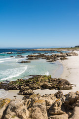 Fototapeta na wymiar The beach along the coast of Monterey, California