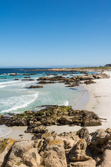 The beach along the coast of Monterey, California