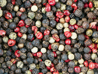 Red, black, green and white peppercorns