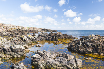Rocky coast and sea grass