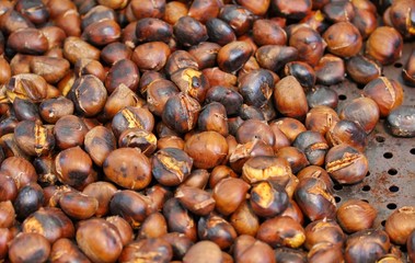 hot roasted chestnuts cooked on the hot plate