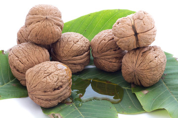 Walnut leaves