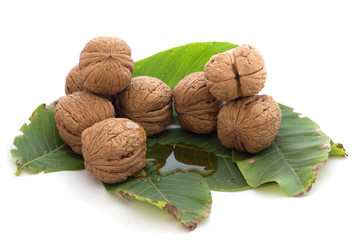 Walnut honey on the foliage