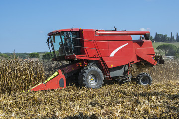 Obraz premium Macchina trebbia nel campo