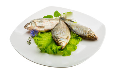 Crucian fish