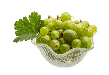 Gooseberry