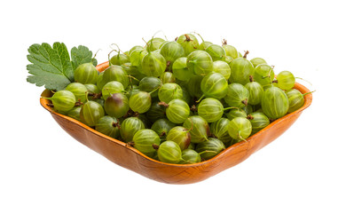 Gooseberry