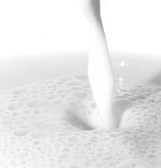 white milk