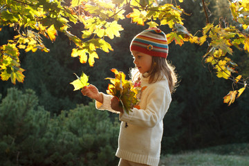 Cute child playing with autumn leaves