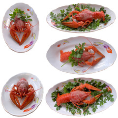 Boiled crayfish closeup.