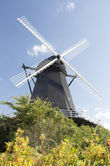 Plakat Schwarze Mühle