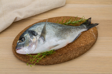 Raw dorado