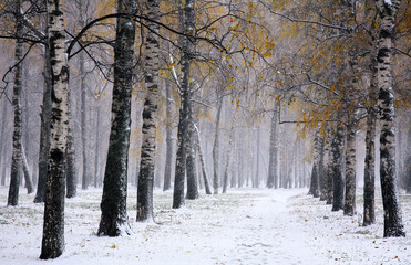 Snowstorm in golden autumn