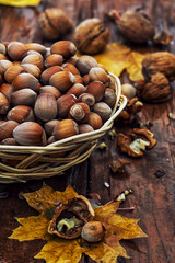 forest,autumn harvest of various nuts