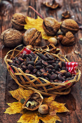 forest,autumn harvest of various nuts