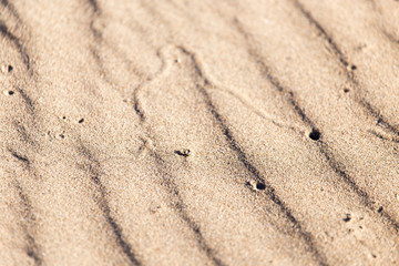 background of sand