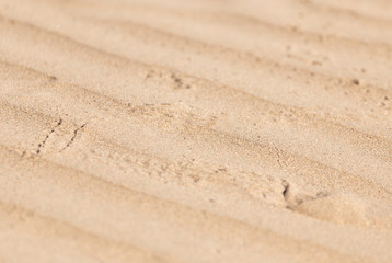 background of sand