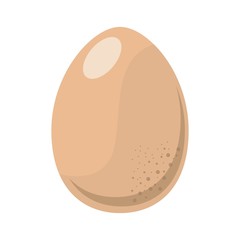 egg design