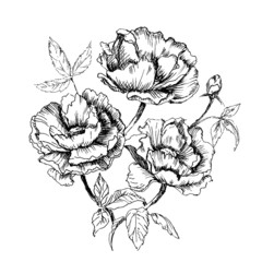 Flower buds, leaves and stems can be easily separated