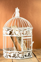 Old book in closed decorative cage