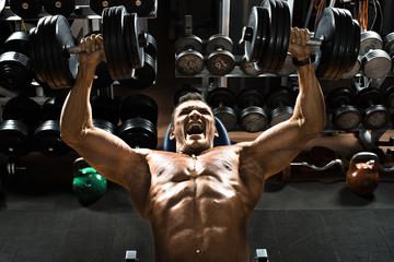 bodybuilder