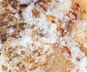 ice on the meat. close-up