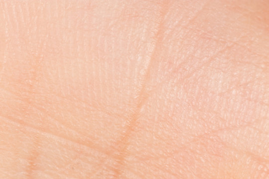 Male Hand Close Up Showing Just His Skin