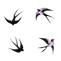 Fotobehang Four swallows. © ddraw