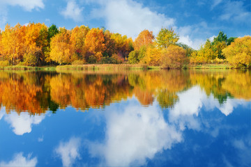 Autumn landscape, trees reflection in lake