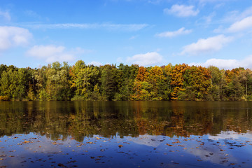Fototapeta na wymiar colorful trees by the lake in the fall