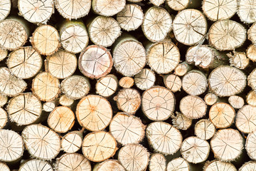 Fototapeta premium firewood free-standing stack, seamless pattern