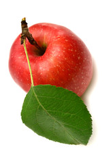 Apple with leaf