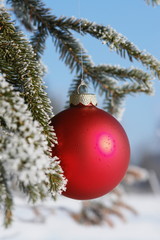 Winter red bauble close-up